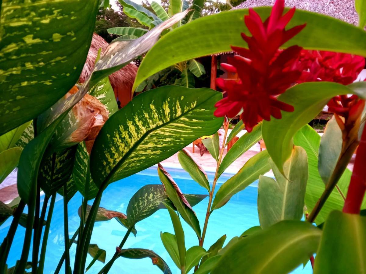 Cabanas Puesta Del Sol ลาส เปนีตาส ภายนอก รูปภาพ